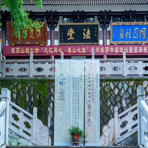 菖蒲入画，禅意入心 | 能仁寺菖蒲展解锁“雁山心旅”新美学