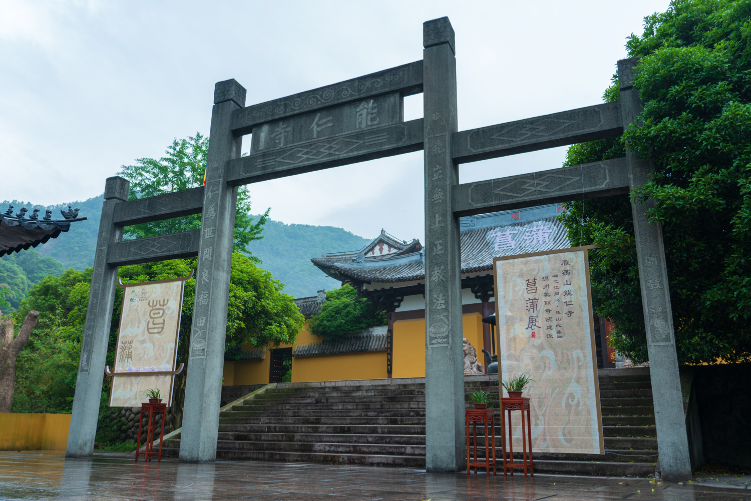 菖蒲入画，禅意入心 | 能仁寺菖蒲展解锁“雁山心旅”新美学(图2)