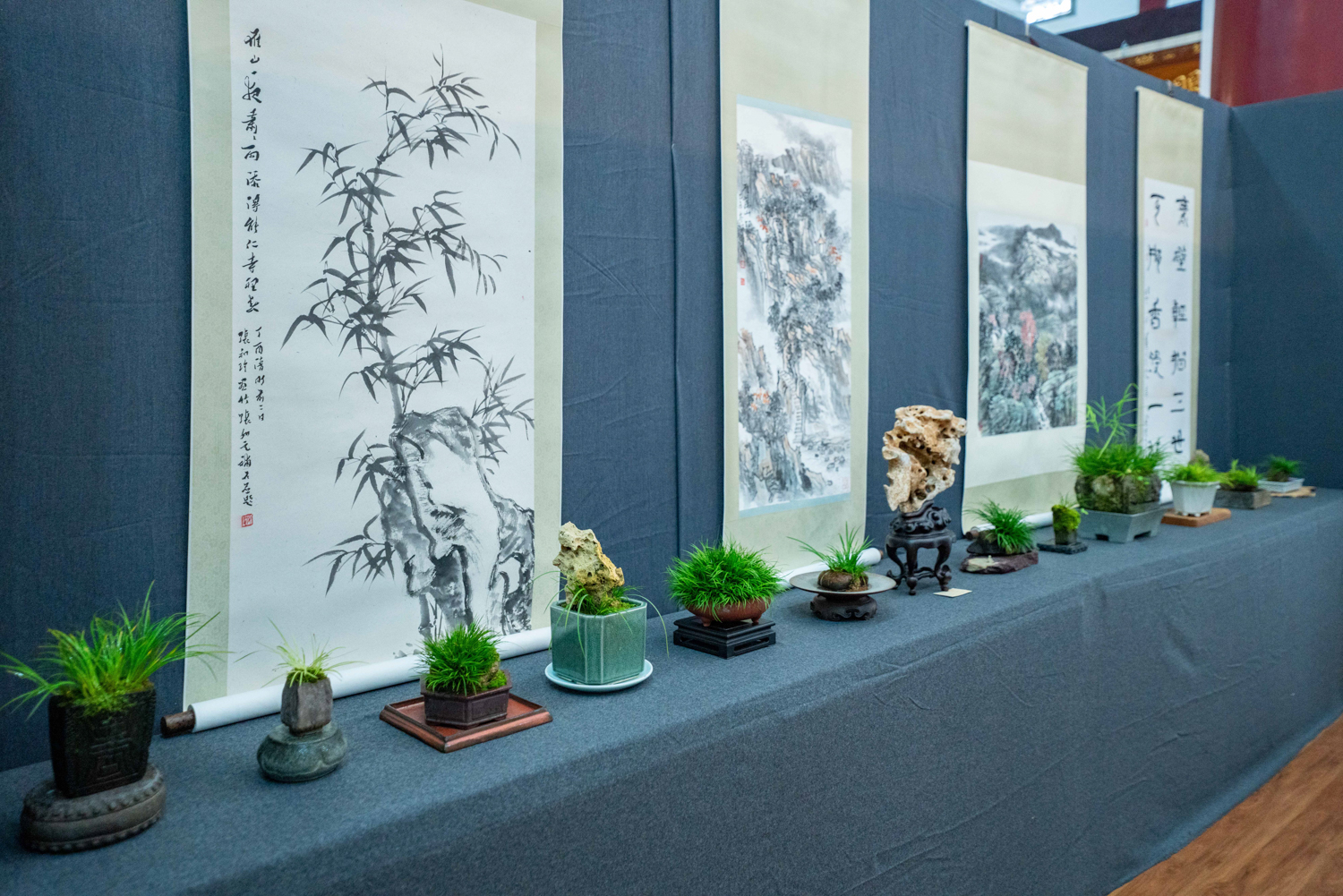 菖蒲入画，禅意入心 | 能仁寺菖蒲展解锁“雁山心旅”新美学(图14)