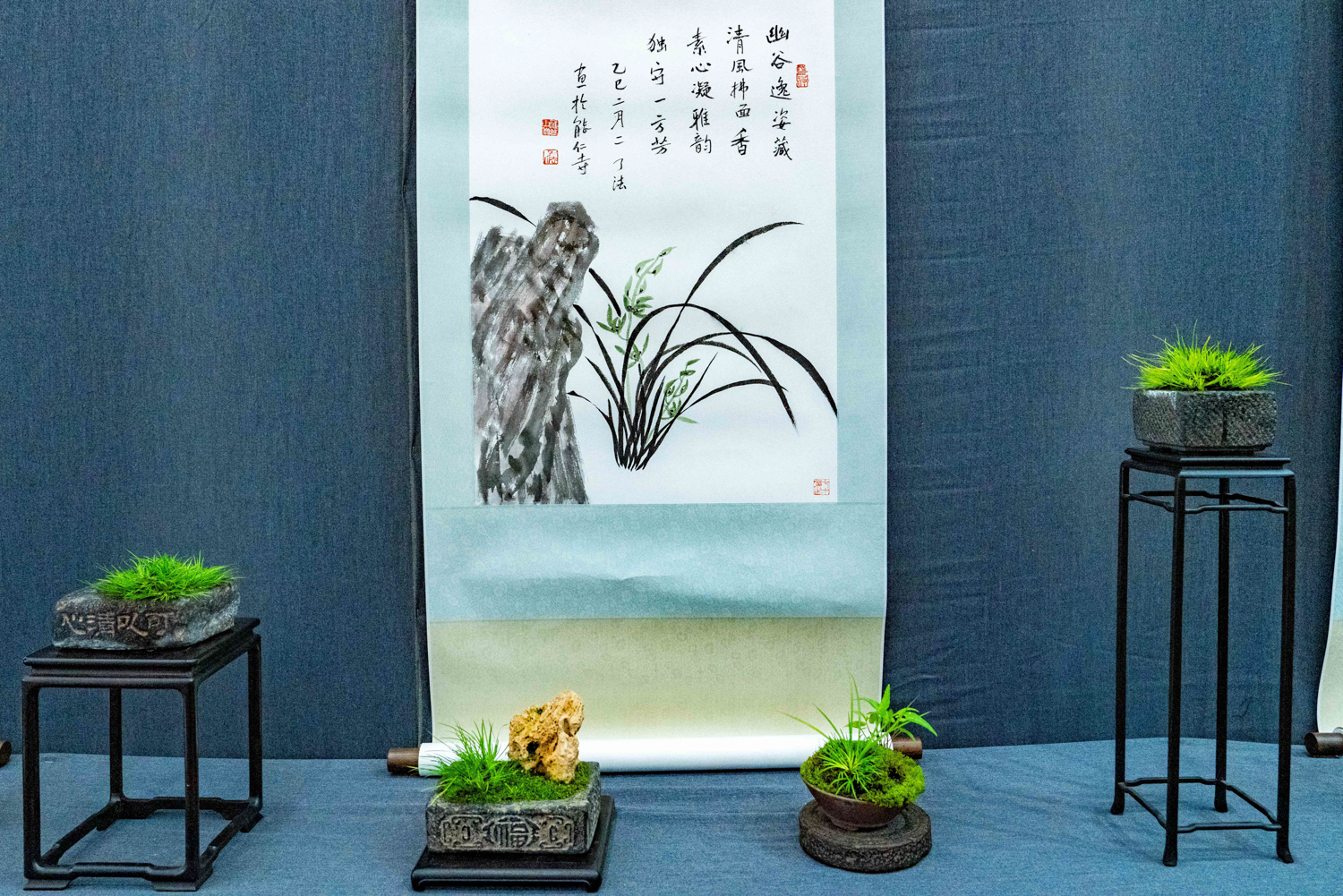 菖蒲入画，禅意入心 | 能仁寺菖蒲展解锁“雁山心旅”新美学(图19)