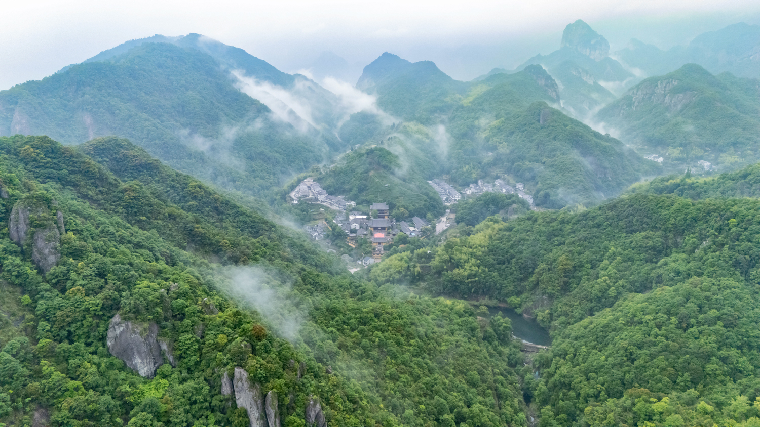 菖蒲入画，禅意入心 | 能仁寺菖蒲展解锁“雁山心旅”新美学(图21)