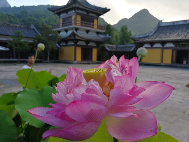 莲映古刹能仁寺(图6)